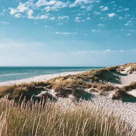 Volledig Gerenoveerd 2 Slaapkamer In Westende-bad, 250 M Het Daire